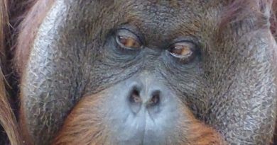 Der älteste Tierpark der Welt!