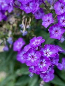 IMG_0124
