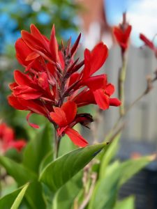 IMG_0131